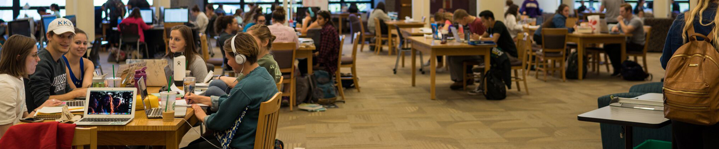 Students in the Library Students in the Library