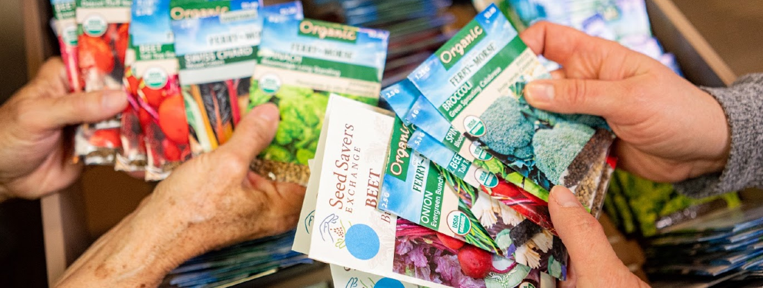 hands holding seed packets